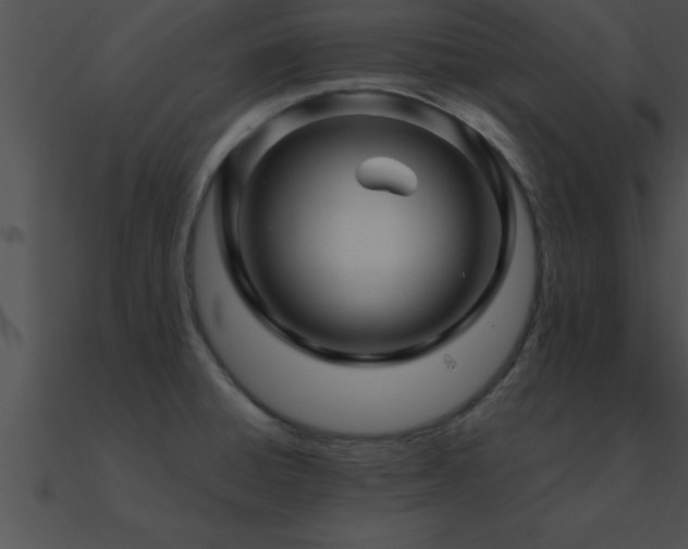 X0000090961428200708021406