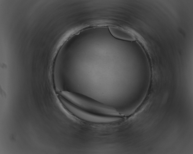 X0000090961429200708021406
