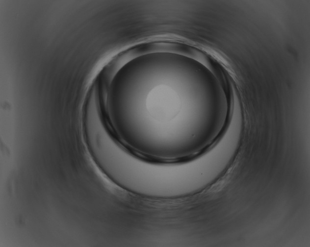 X0000090961430200708021406