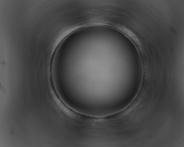 X0000090961431200708021406