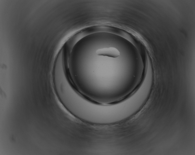 X0000090961432200708021406