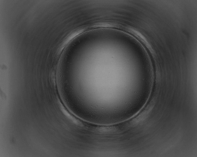 X0000090961433200708021406