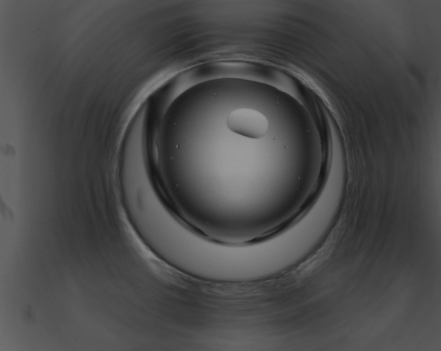 X0000090961434200708021406