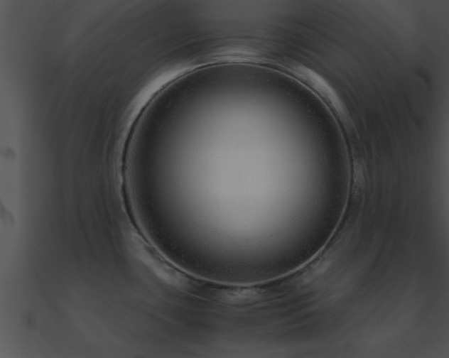 X0000090961435200708021406