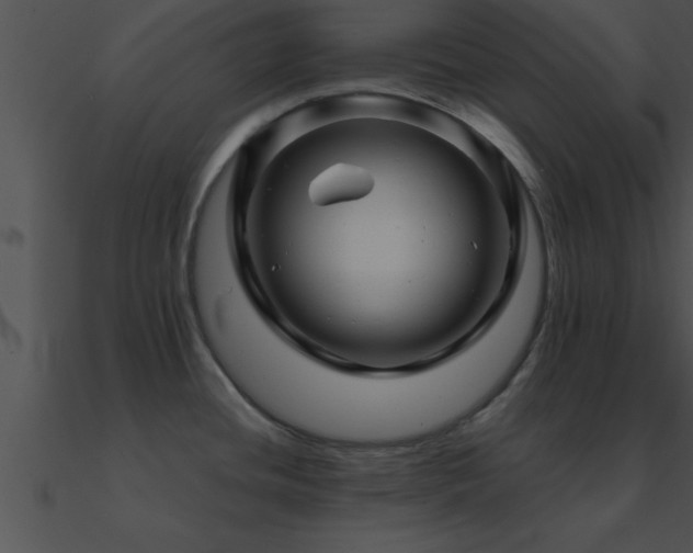 X0000090961436200708021406