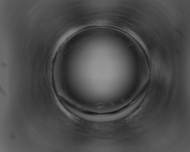 X0000090961437200708021406