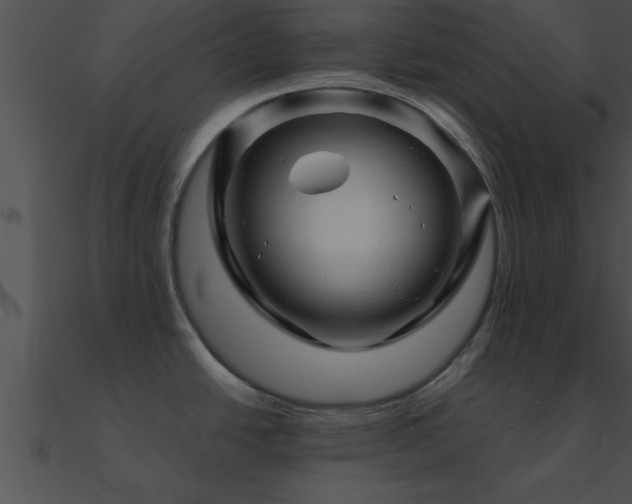 X0000090961438200708021406