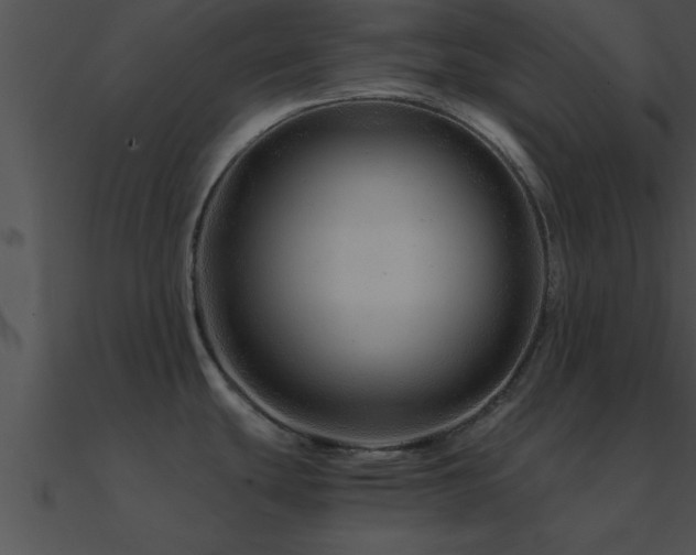 X0000090961439200708021406