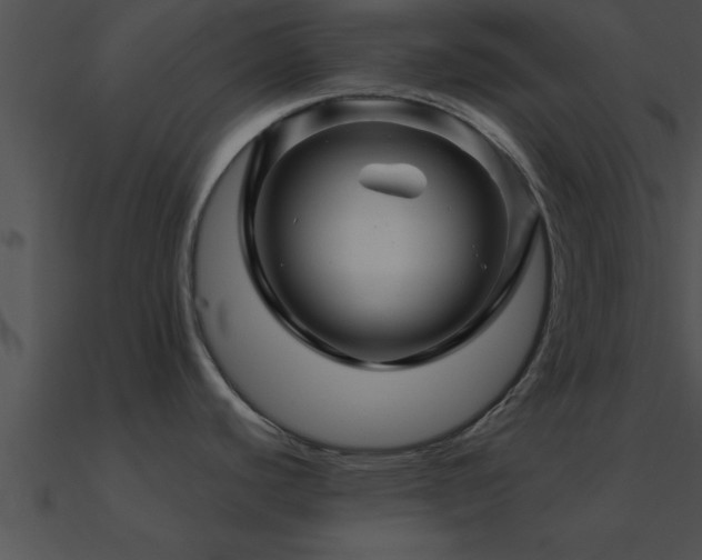 X0000090961440200708021406