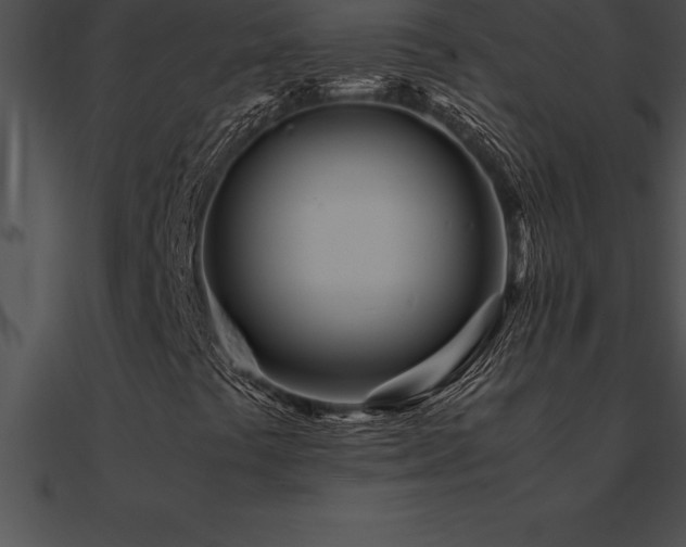 X0000090961441200708021405