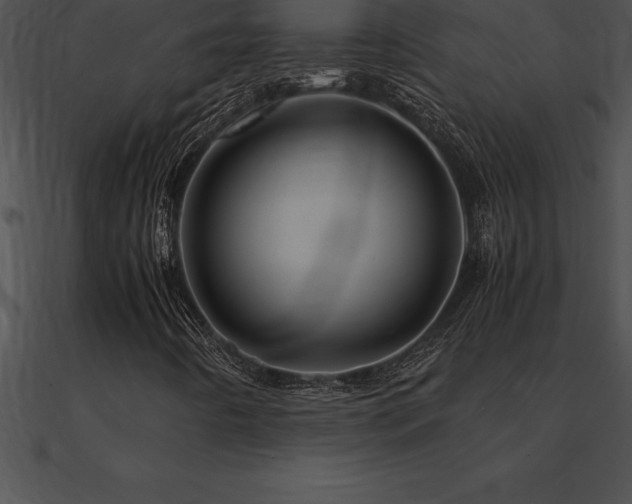 X0000090961442200708021405
