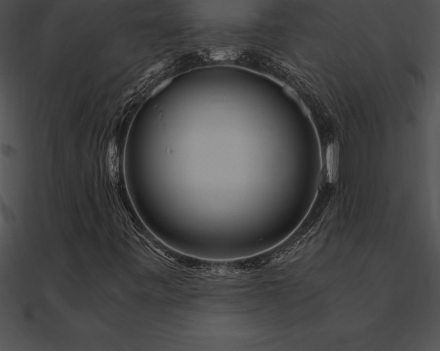 X0000090961443200708021405