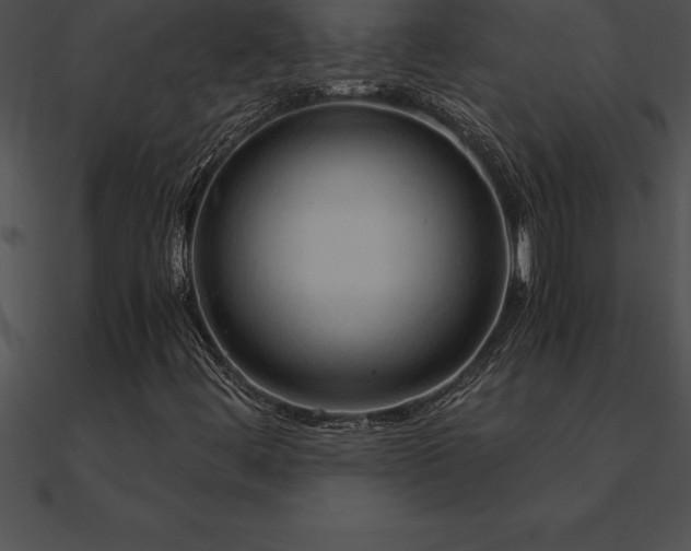 X0000090961444200708021405