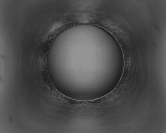 X0000090961446200708021405