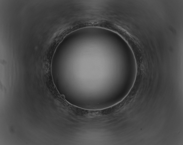 X0000090961447200708021405