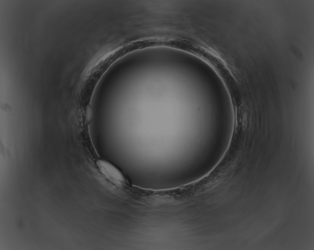 X0000090961448200708021405