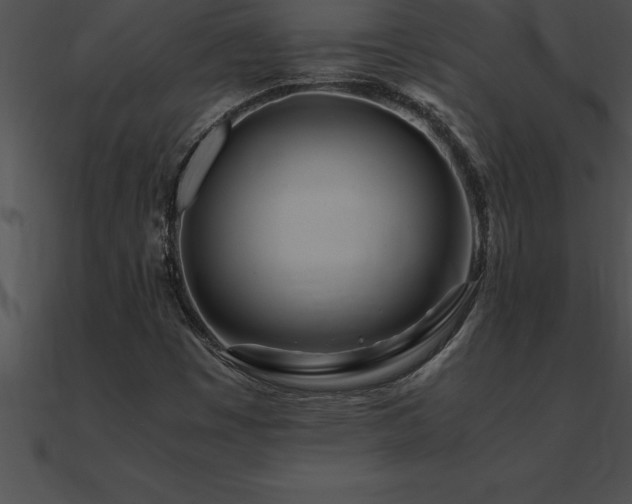 X0000090961449200708021405