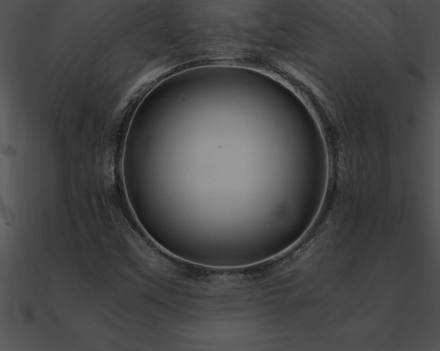 X0000090961451200708021405
