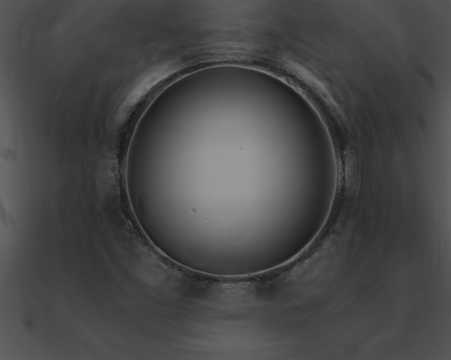 X0000090961453200708021405