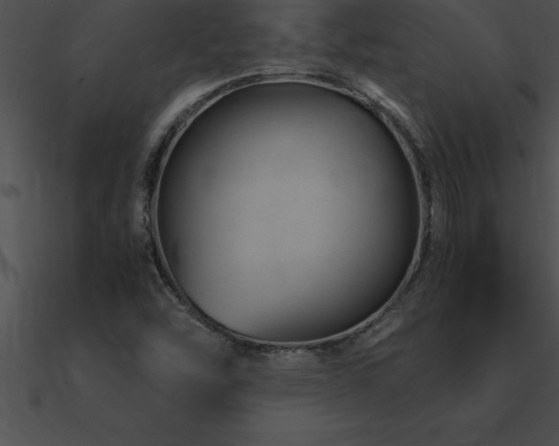 X0000090961454200708021405