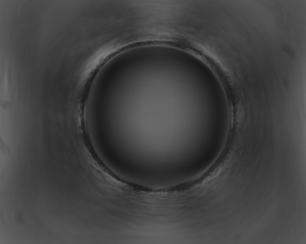 X0000090961455200708021405
