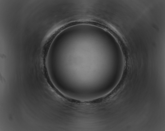 X0000090961456200708021405