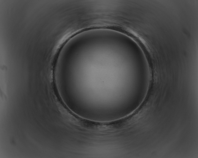 X0000090961459200708021405
