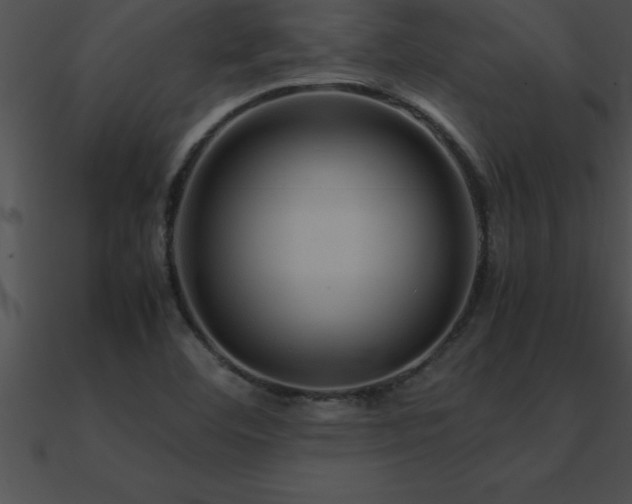 X0000090961460200708021405