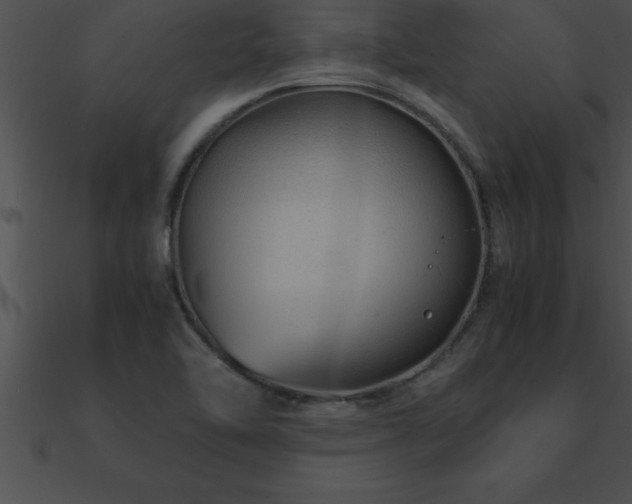 X0000090961462200708021405