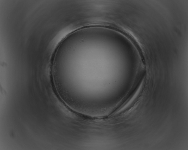 X0000090961463200708021405