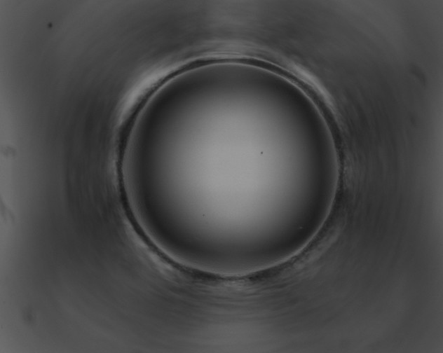 X0000090961464200708021405