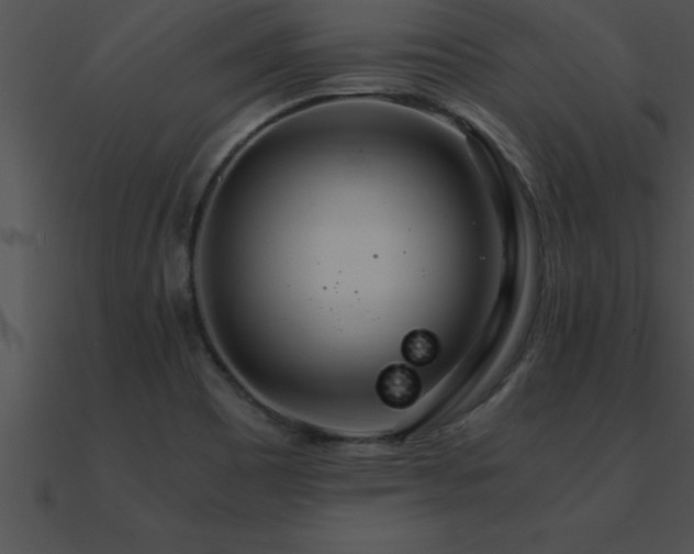 X0000090961465200708021405