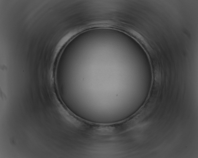 X0000090961466200708021405