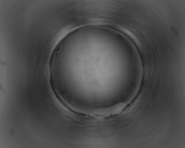 X0000090961467200708021405