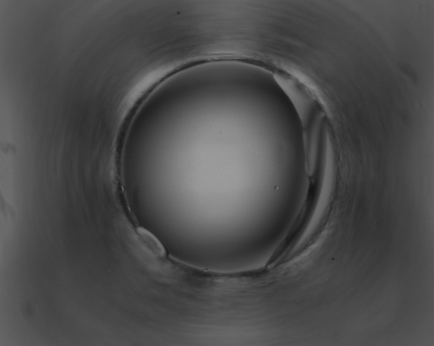 X0000090961469200708021405