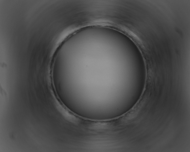 X0000090961470200708021405