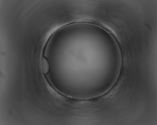 X0000090961471200708021405
