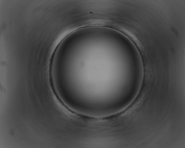X0000090961475200708021405