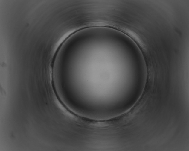 X0000090961476200708021405