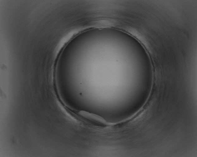 X0000090961477200708021405
