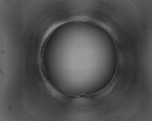 X0000090961478200708021405