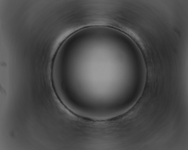 X0000090961480200708021405