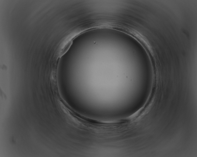 X0000090961481200708021405