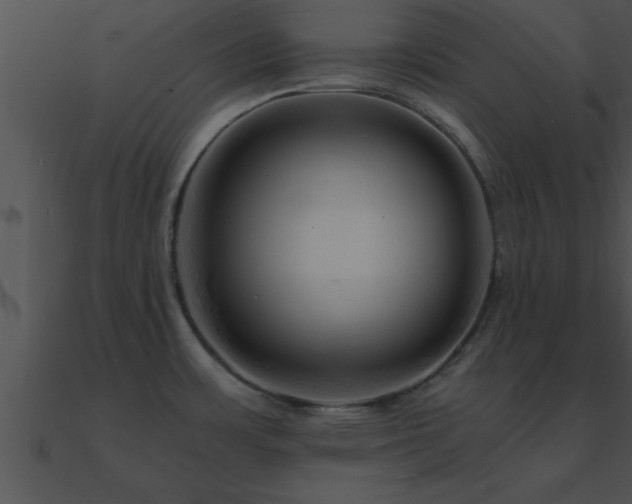 X0000090961483200708021405