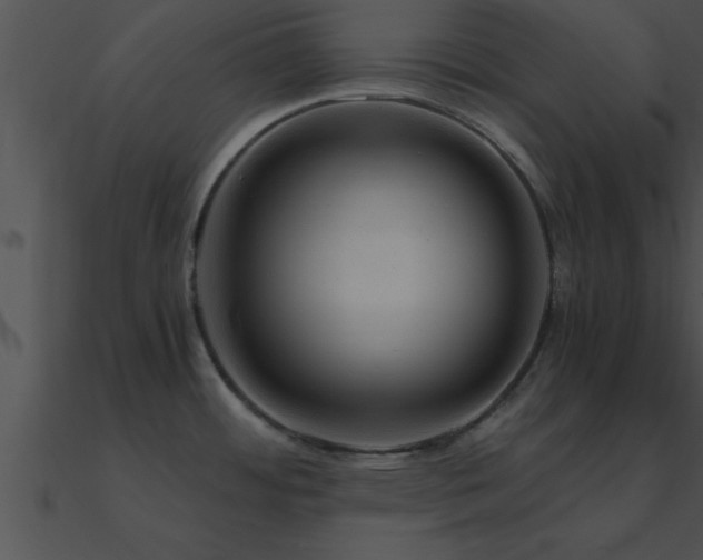 X0000090961484200708021405