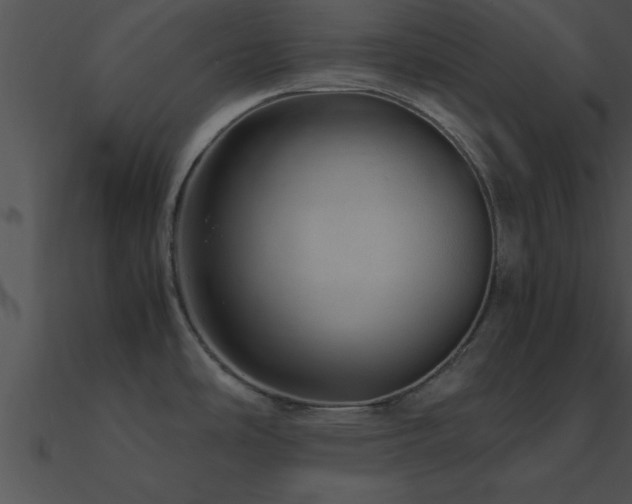 X0000090961486200708021405