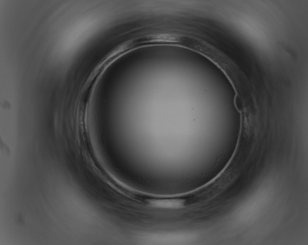 X0000090961487200708021405