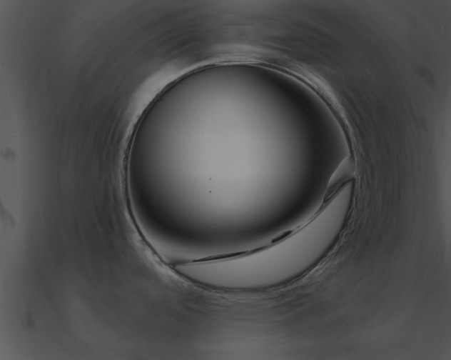 X0000090961488200708021405