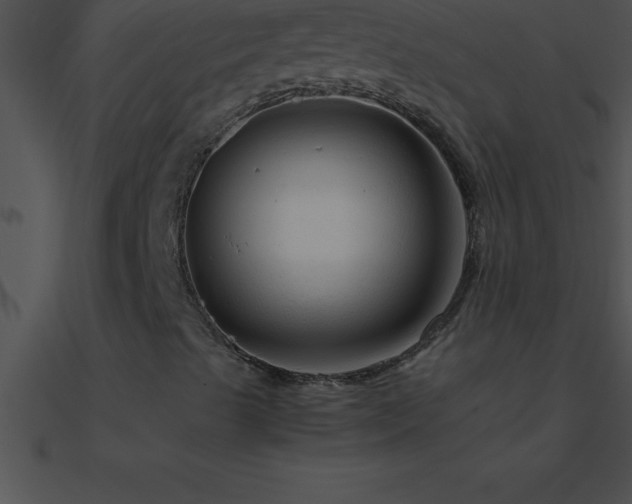 X0000090961489200708021404