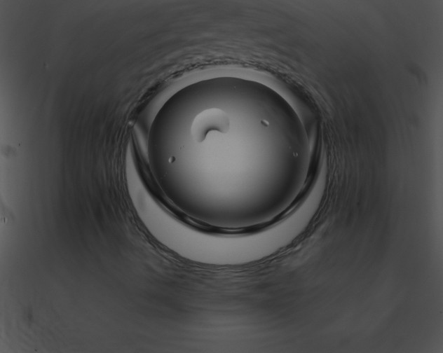 X0000090961490200708021404